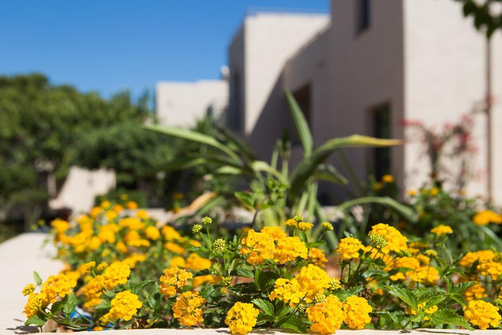 Sundance & 3* Hersonissos (Crete)